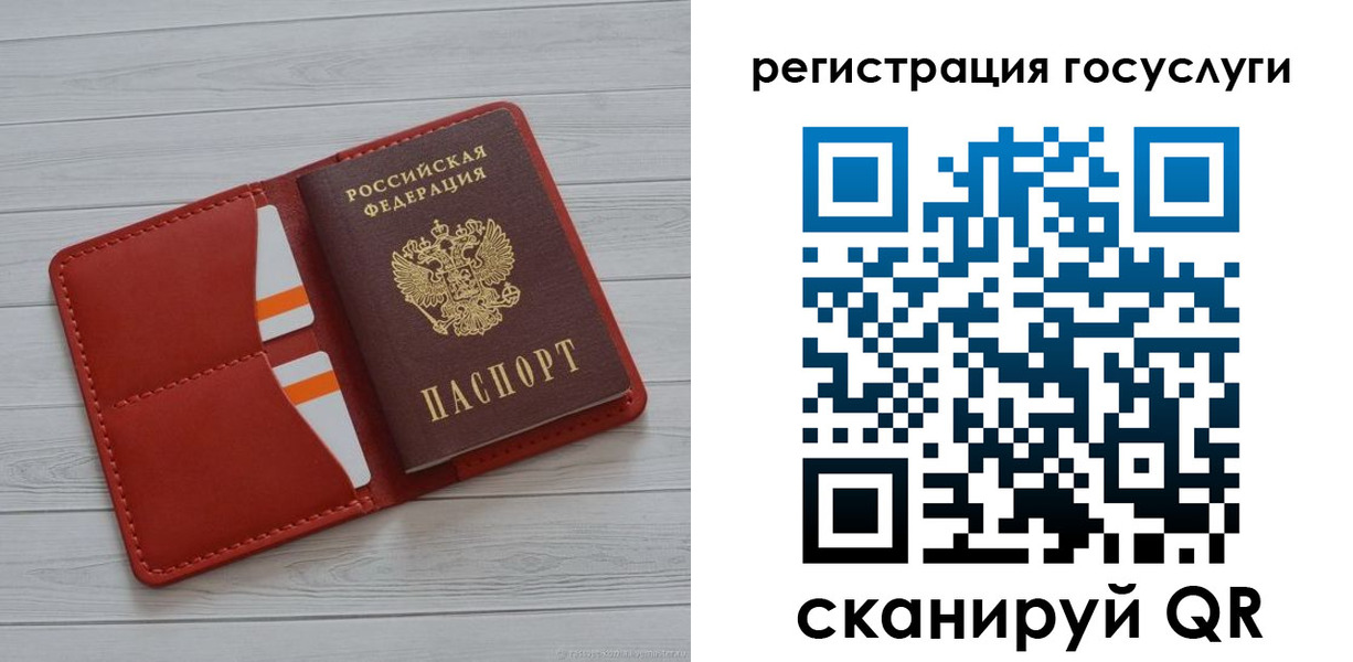 где прописаться в Светлогорске
